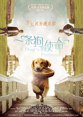 国产jk精品白丝av