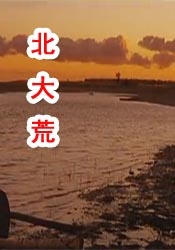 久久国产这里只精品免费