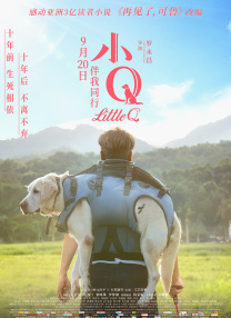 德化油价